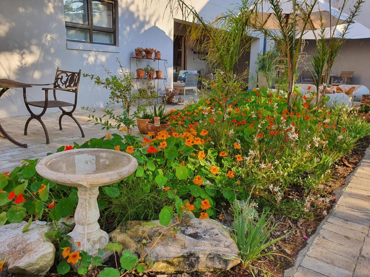 Albatross Guesthouse Langebaan Kültér fotó